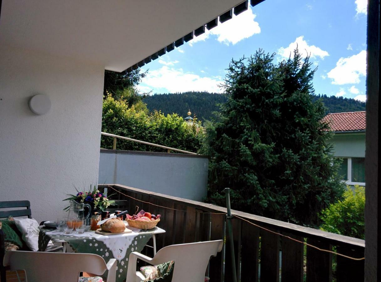 Gib Mir Funf! Ferienwohnung In St. Blasien Extérieur photo